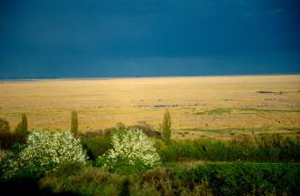 Fertő tó nádrengetege, Fotó: Molnár Balázs